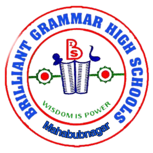BRILLIANT GRAMMAR SCHOOL logo