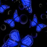 3D Butterfly 99 icon