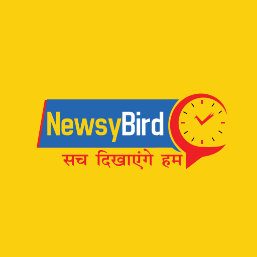 NewsyBird Lite logo