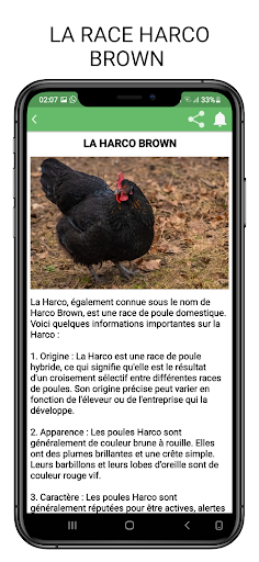 Élevage de poules pondeuses Screenshot 4 - AppWisp.com