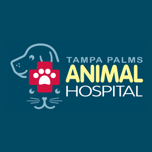 TPAH Tampa Bay logo