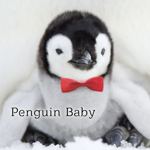 Penguin Baby wallpaper logo