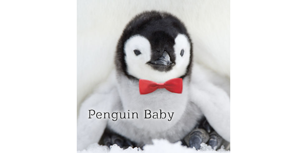 ペンギンの赤ちゃん壁紙 Google Play のアプリ