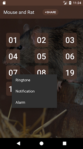 Mouse and Rat Sounds Screen 2