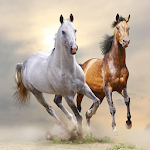 Cover Image of Скачать Horse Wallpaper HD  APK