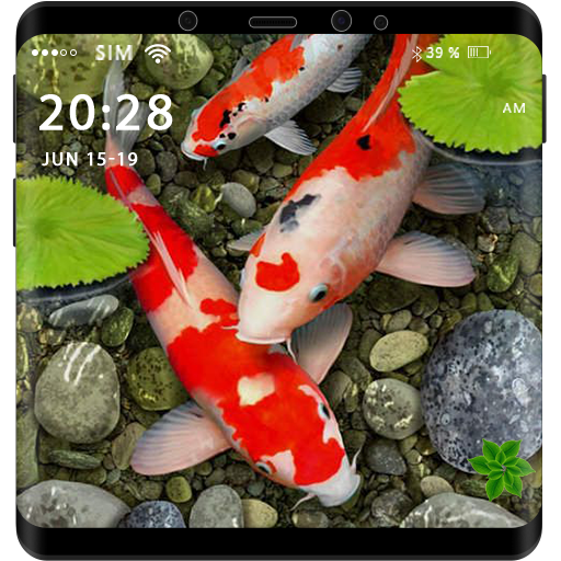 3D Koi Fish Live Wallpaper HD  Icon