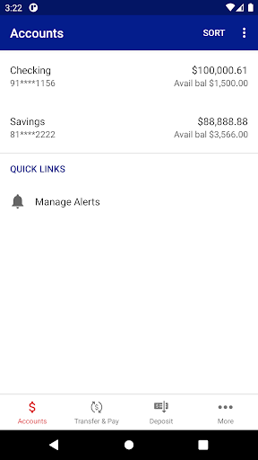 Chelsea Savings/Victor State Screen 3