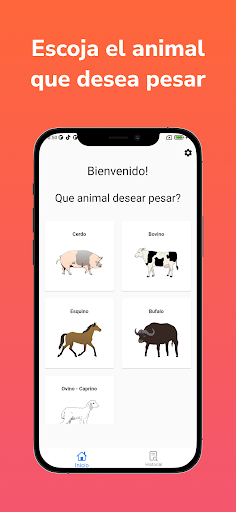 Android application Animal Weight- Pigs and cattle screenshort