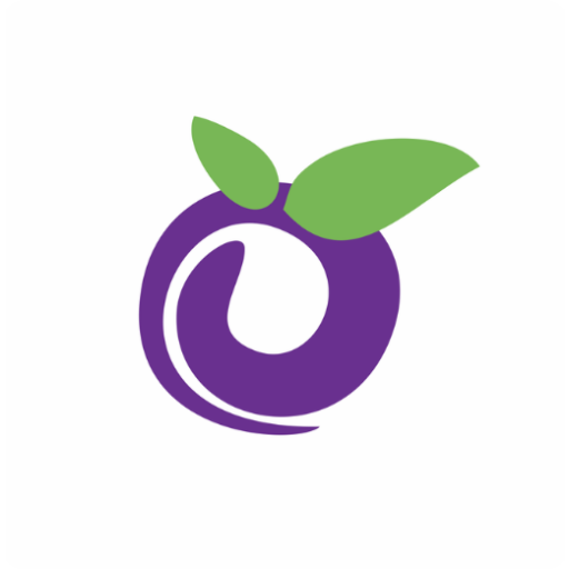 FLAVOURS AÇAÍ E SORVETERIA logo
