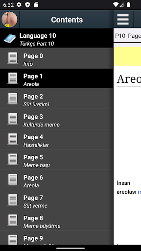 Uygulama önizlemesi