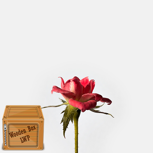 single red rose wallpaper logo