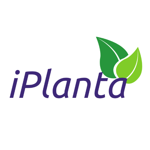 iPlanta logo