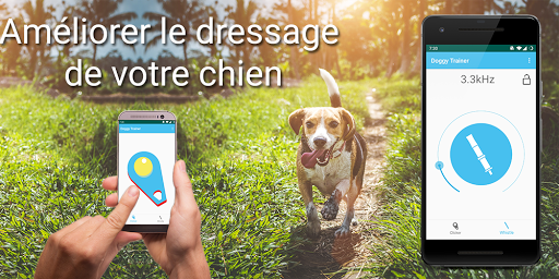Aperçu de l'application