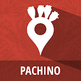 Pachino icon