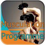 musculation icon
