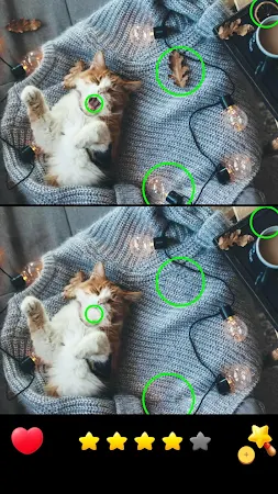 Game screenshot 間違い探し - Find the Differences hack