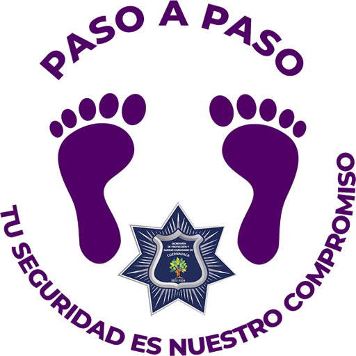 Paso a Paso logo