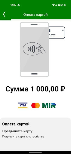 PayOnline SoftPos Screen 2