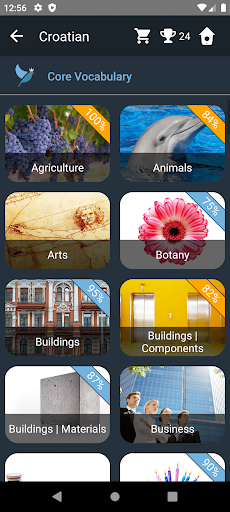 Croatian Language Tests Screen 2