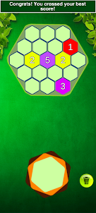 Latest Hexagon Puzzle - Puzzle