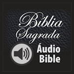 Cover Image of Download Holy Bible in Audio  APK