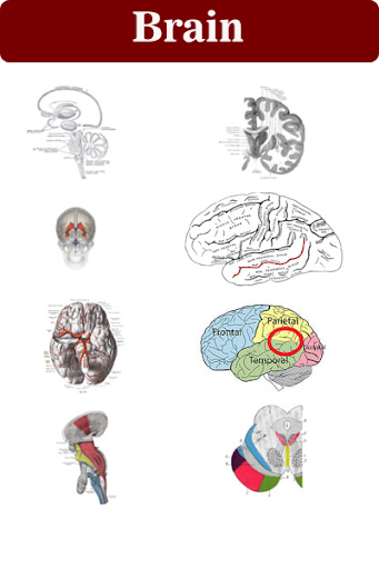 Mental disorders Screen 2