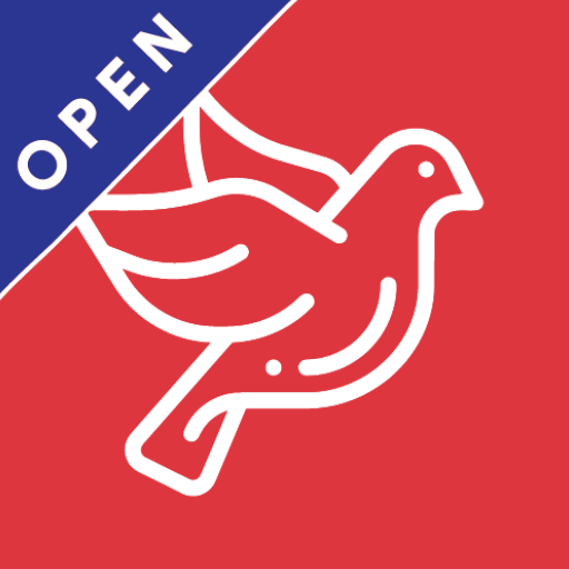 Pigeon Sports Clock Open  Icon