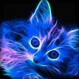Neon Animal Wallpaper icon