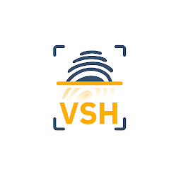VSH: Download & Review