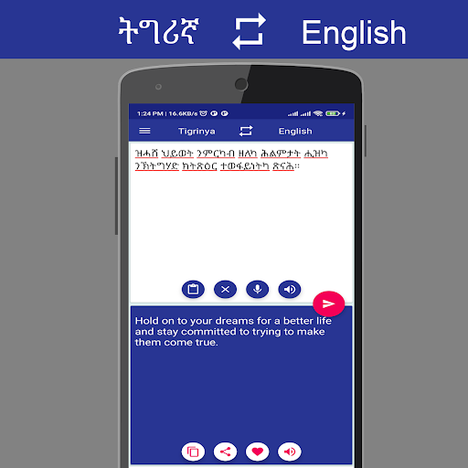 Tigrinya English Translator Screen 3