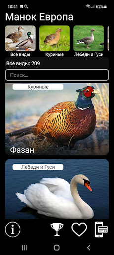 Предварительный просмотр приложения