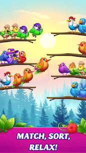 Jungle Bird Sort 3