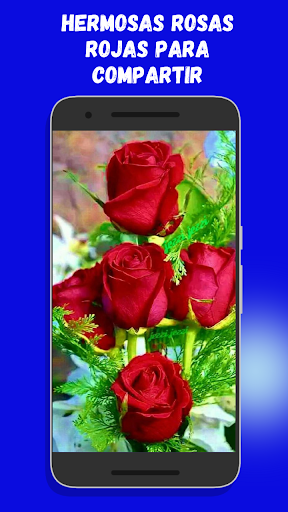 Roses and beautiful flowers Screen 3