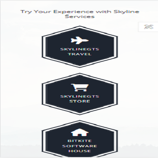 Skylinegts Screen 2
