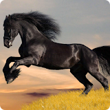 Horses live wallpaper icon