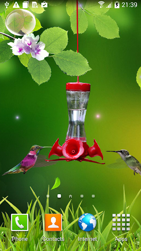Android application Hummingbirds wallpaper screenshort