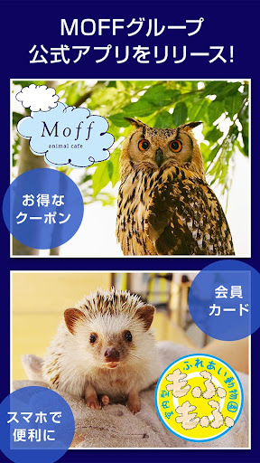 Android application MOFF公式アプリ screenshort
