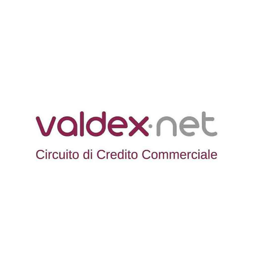 Valdex.net logo