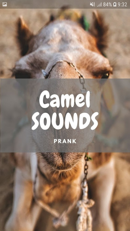 Camel Sounds and Wallpapers by PoStudia - (Android Apps) — AppAgg