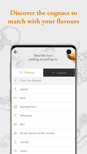 Cognac Pairing Screen 2