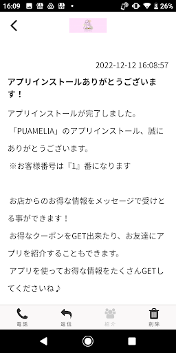 PUAMELIA Screen 2