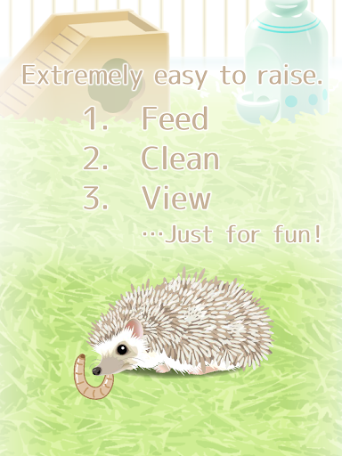 Hedgehog Pet  screenshots 8