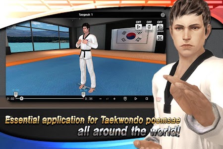 Taekwondo Poomsae Master Unknown