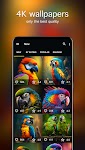 screenshot of Parrot Wallpapers 4K