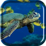 Turtle Sea Live Wallpaper icon