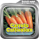 Carrot Cultivation Techniques Download on Windows
