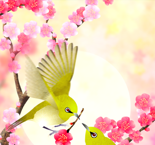 25 ++ 花 梅の 花 2 月 壁紙 308075