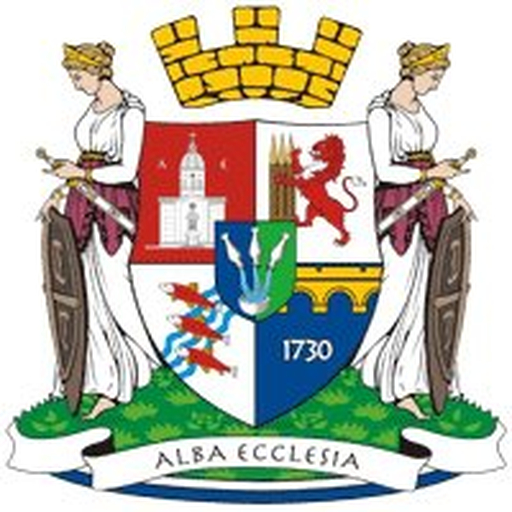 Smederevska Palanka logo