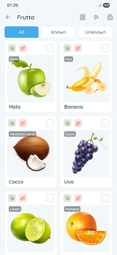 İtalyanca öğren - LangUp ekran görüntüsü