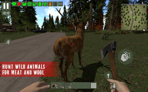 The Survivor Rusty Forest